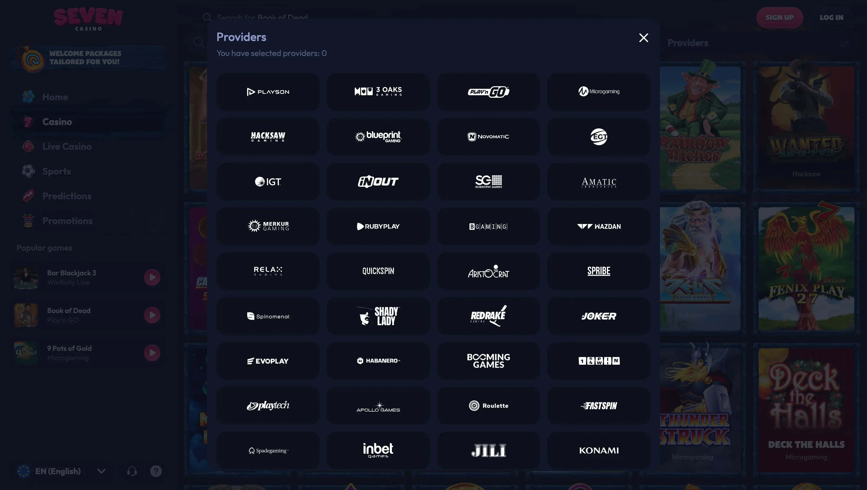 Providers window with studio logos: Playson, 3 Oaks, Play'n GO, Microgaming, Hacksaw, Blueprint, Novomatic and EGT