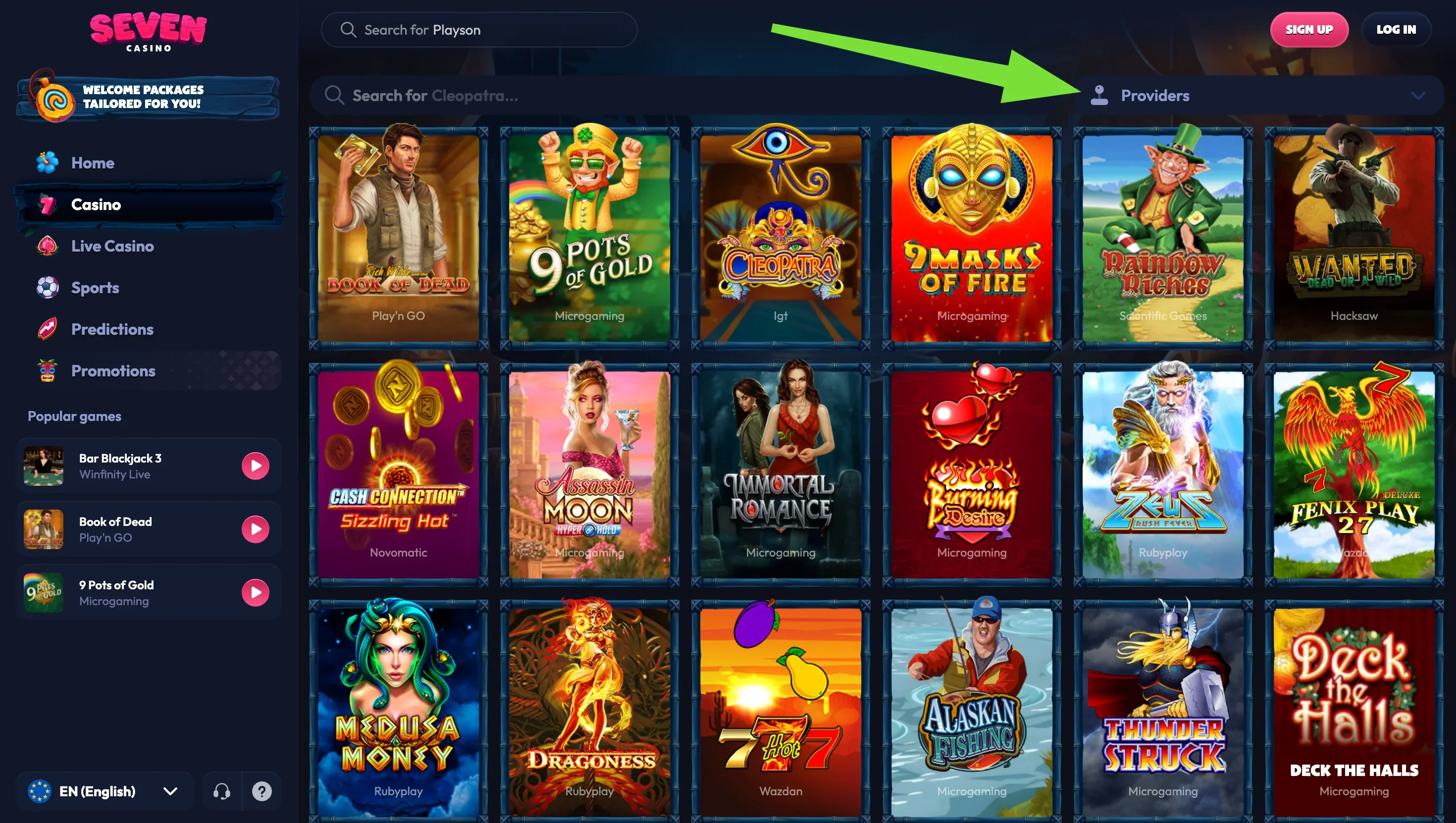 Slot grid with the studio filter Slot grid with Book of Dead, 9 Pots of Gold, Cleopatra, 9 Masks of Fire and Rainbow Riches, Providers filter above